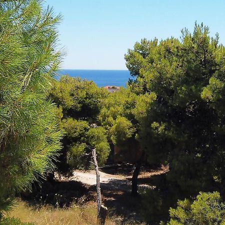 Fistiki Rooms Agia Marina  Zewnętrze zdjęcie