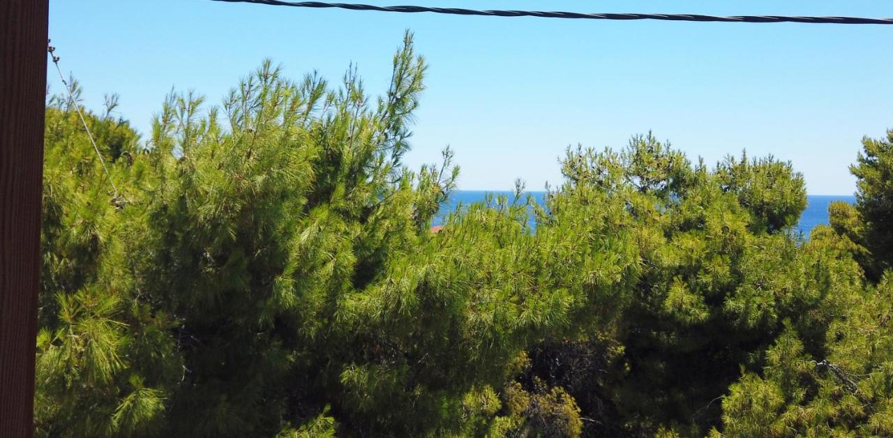 Fistiki Rooms Agia Marina  Zewnętrze zdjęcie