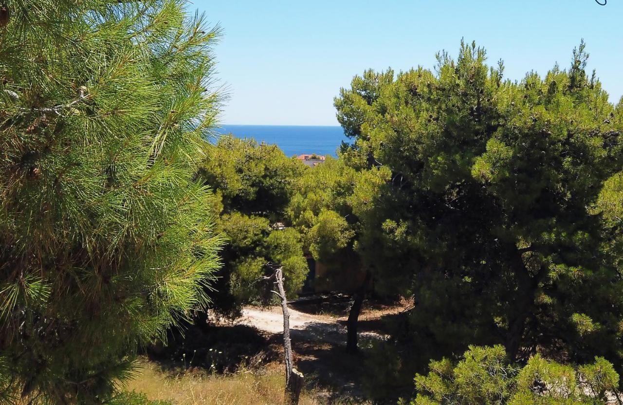 Fistiki Rooms Agia Marina  Zewnętrze zdjęcie